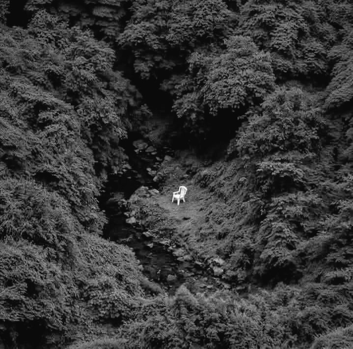 خاموش مان tweet media