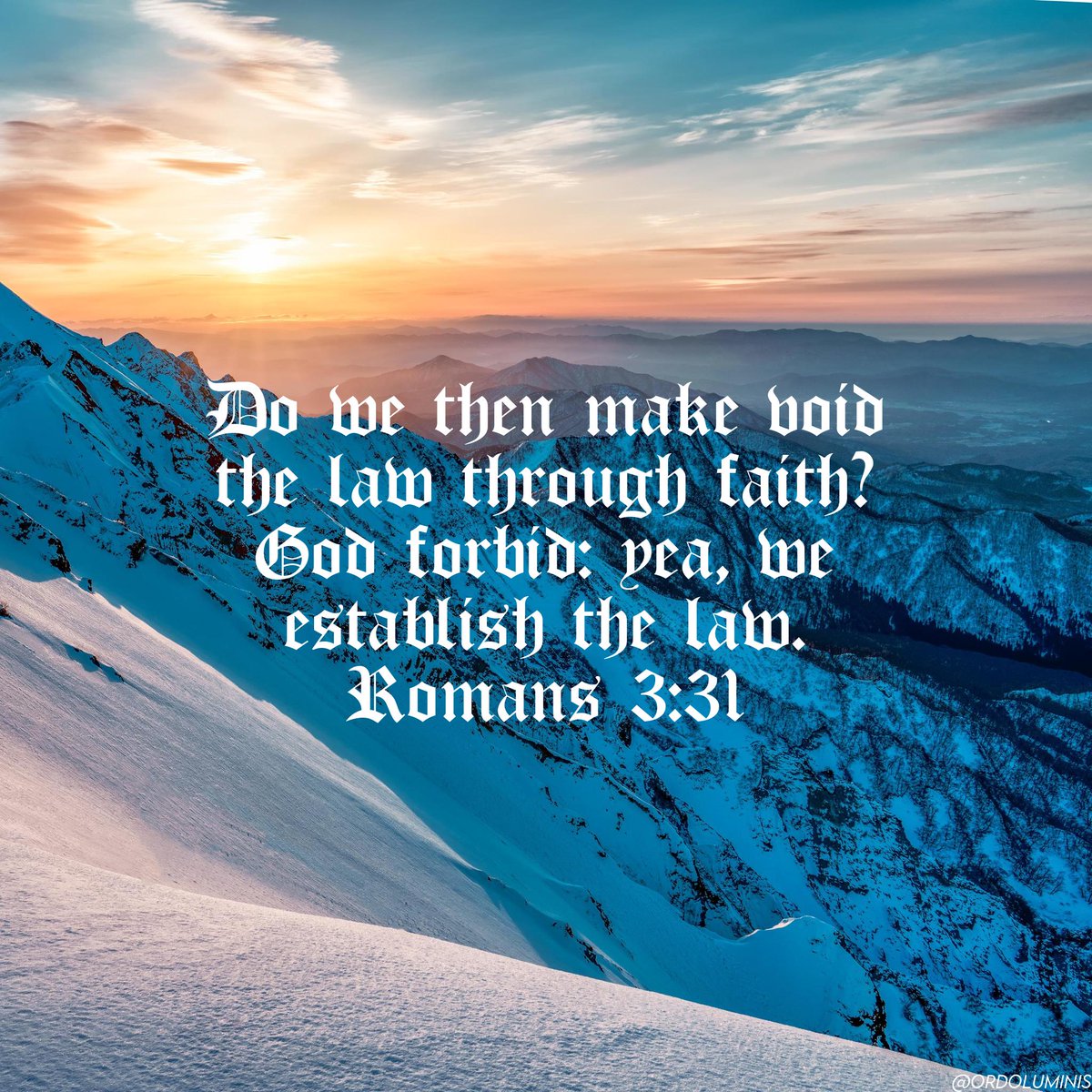 The Order of Light tweet media