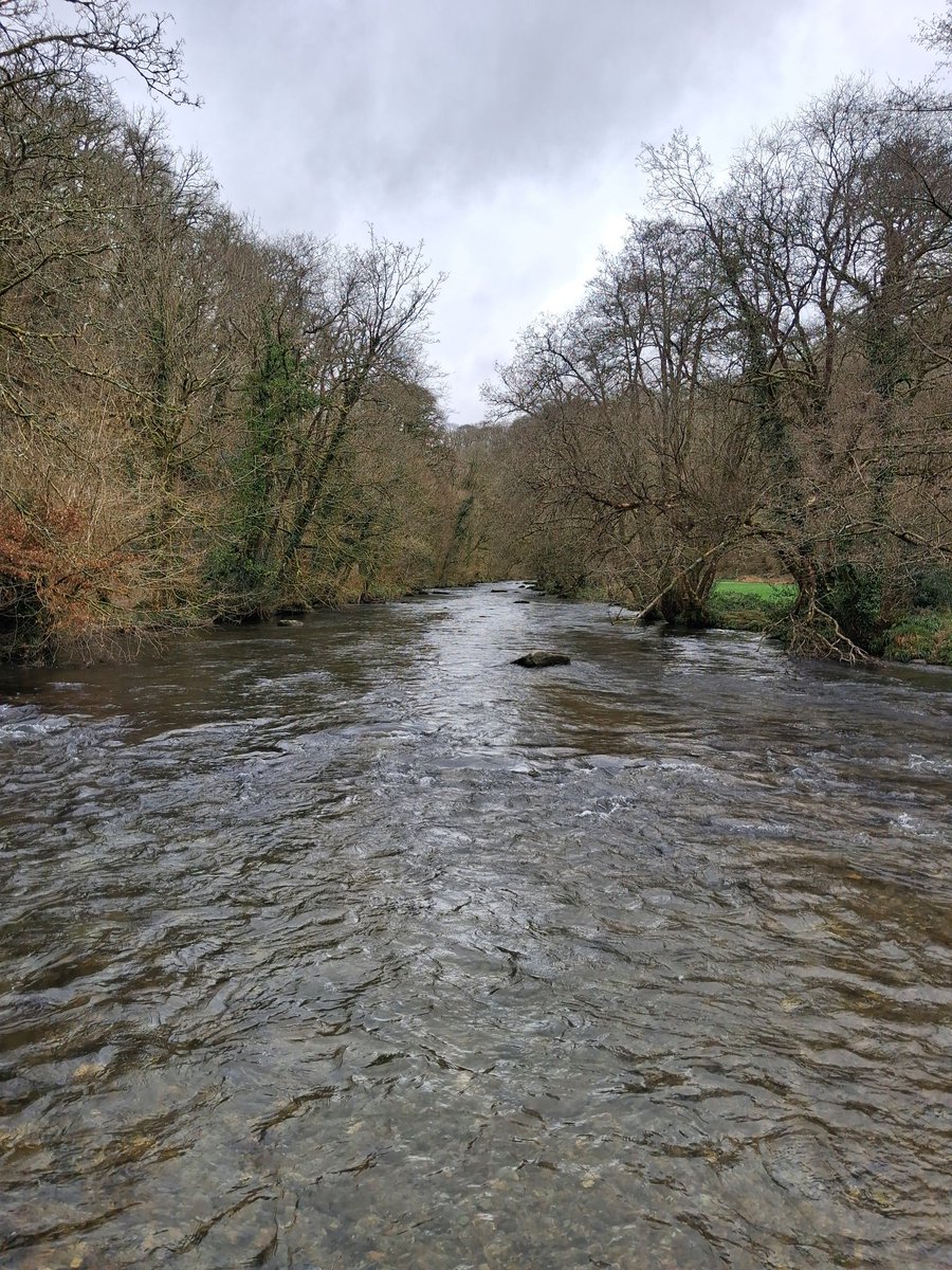 Ex-Fedupcivvy tweet media