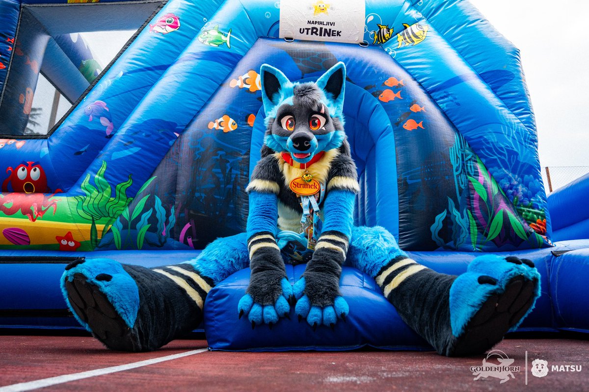 ✨ GoldenHorn Convention ✨ tweet media