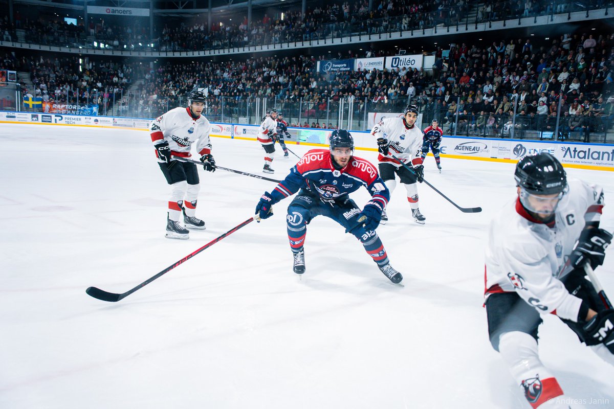 LigueMagnus's tweet photo. CHA ⛏️🆚🦉 ANG
⌚️ 20h05
📺 https://t.co/yfWhR6VmVV
24h après leur match à l'Iceparc contre Gap, les @DucsdAngers sont à Chamonix pour affronter les @PionniersHockey ❗️
Pour conserver des chances de playoffs, c'est victoire obligatoire pour Cham' 👀
#SLMHockey #CHAANG https://t.co/avxo4moM04