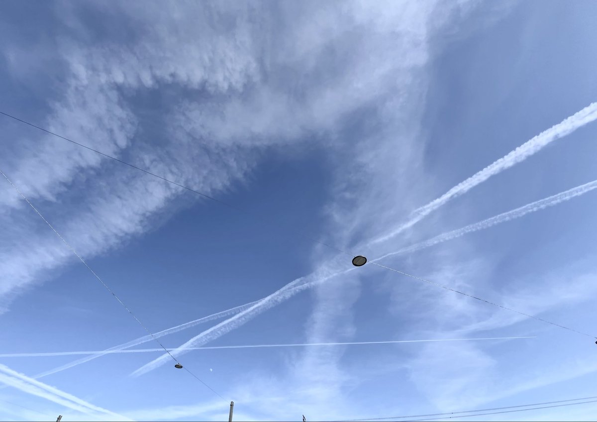 Alba_saluda's tweet image. 2 Tage Frühling mit seltener Sonne. 
Sie fliegen wieder alles zu. 26.2.26

Morgen wieder giftige Chemiesuppe. 
Sicher wieder vom Steuerzahler bezahlt. 

#Chemtrails
#Sunblocking

Vollidioten