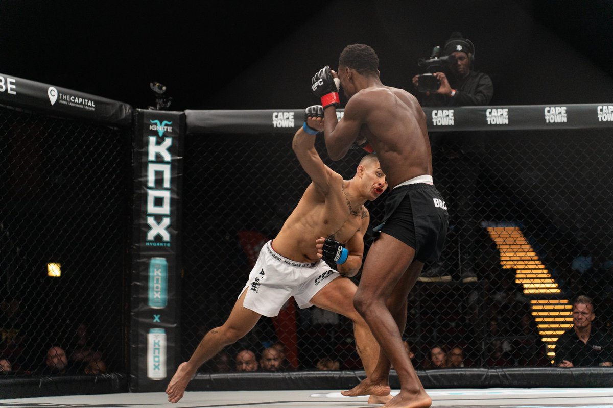 EFC Worldwide tweet media