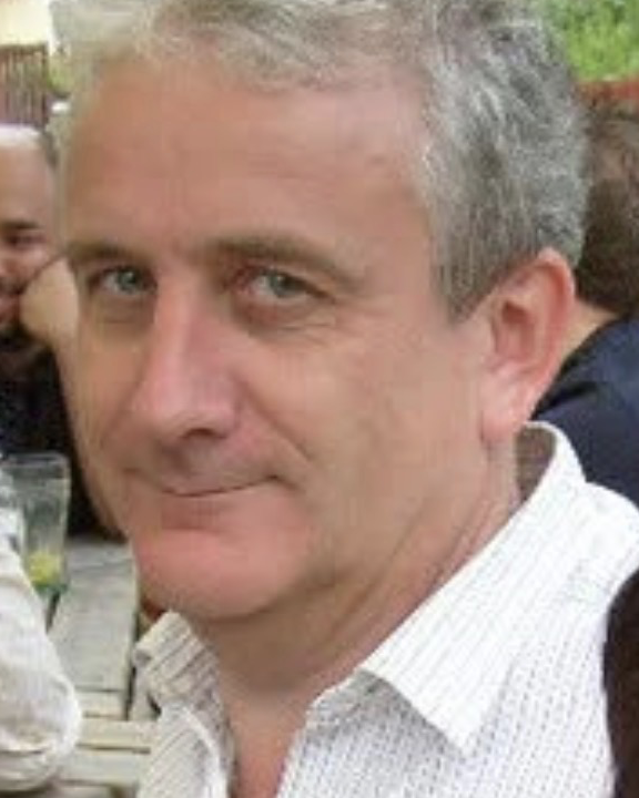 Your Harlow tweet media