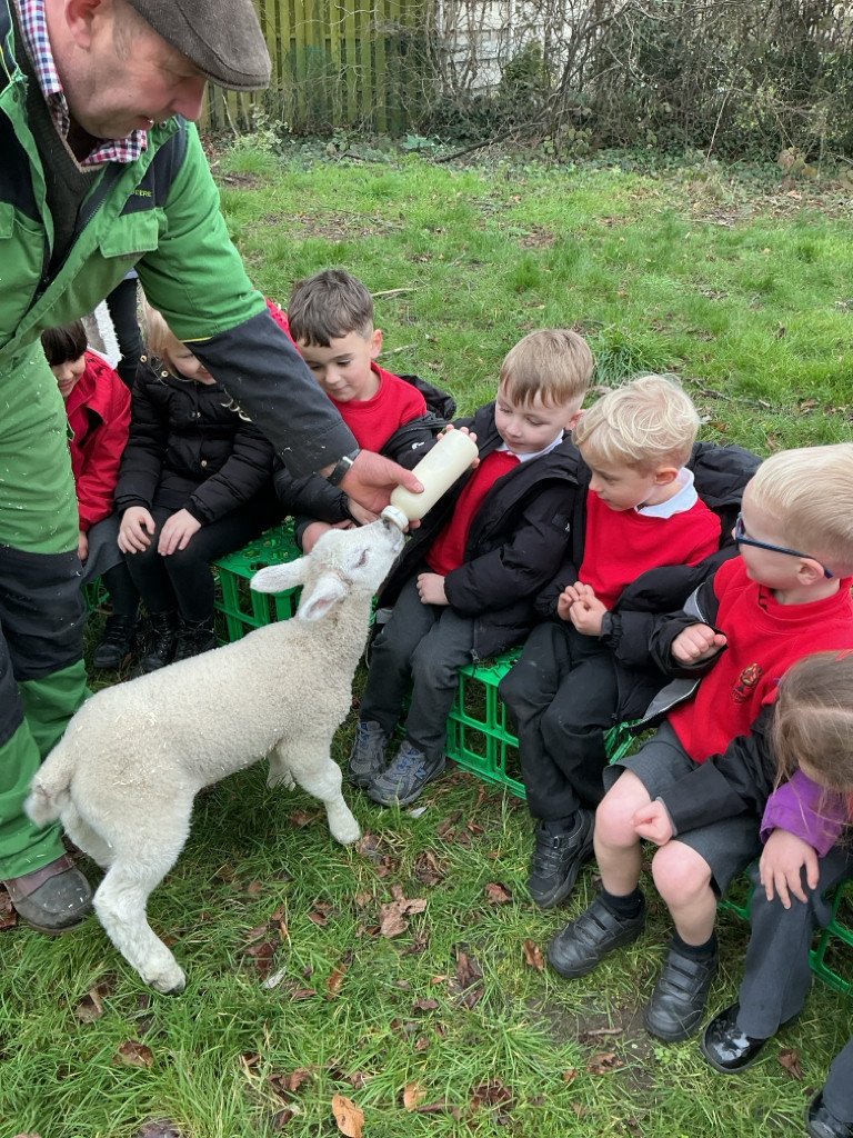 Woodthorpe Primary School tweet media