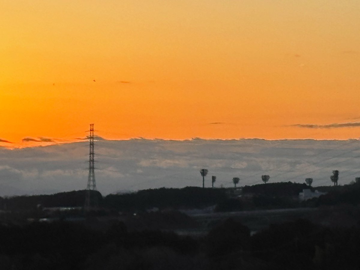 中森Akiたけのじょう(昼ノ宮)🪄︎︎🧐 tweet media