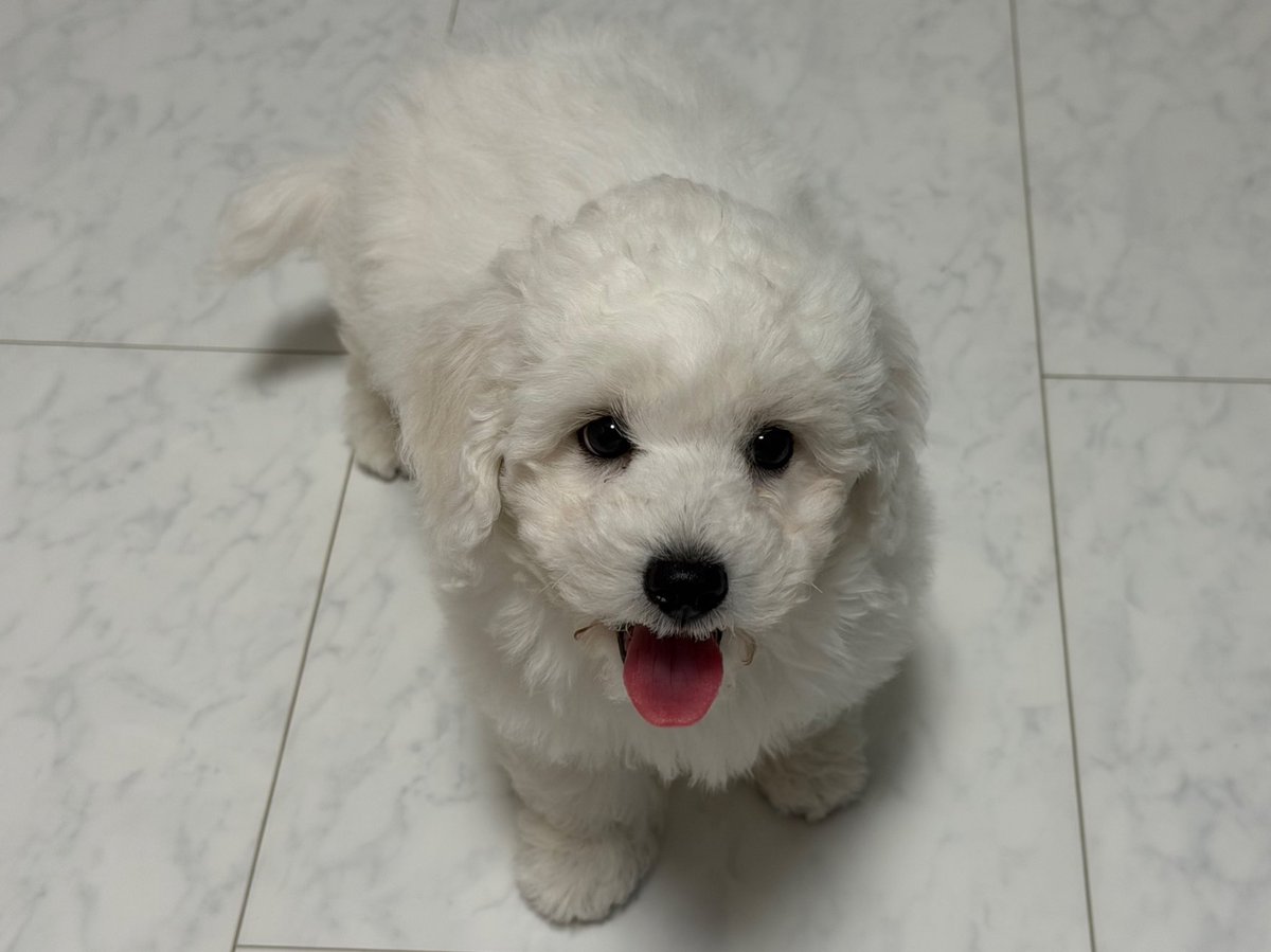 UBU ／ ウブ tweet media