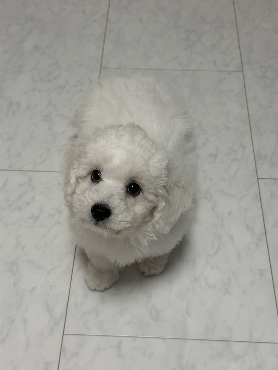 UBU ／ ウブ tweet media