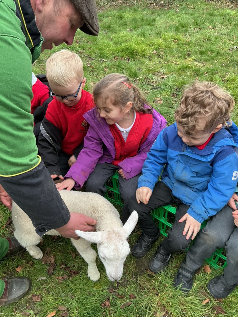 Woodthorpe Primary School tweet media