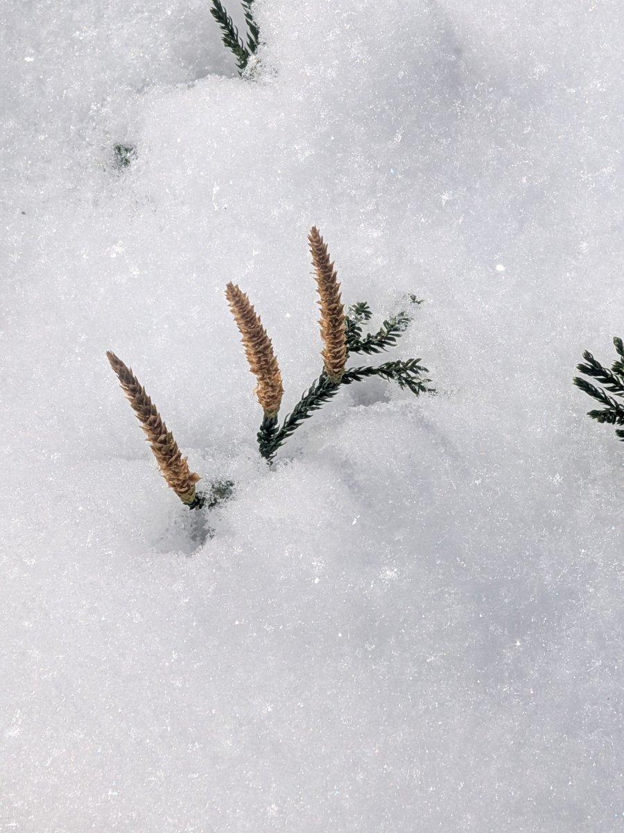 Geauga Park District tweet media