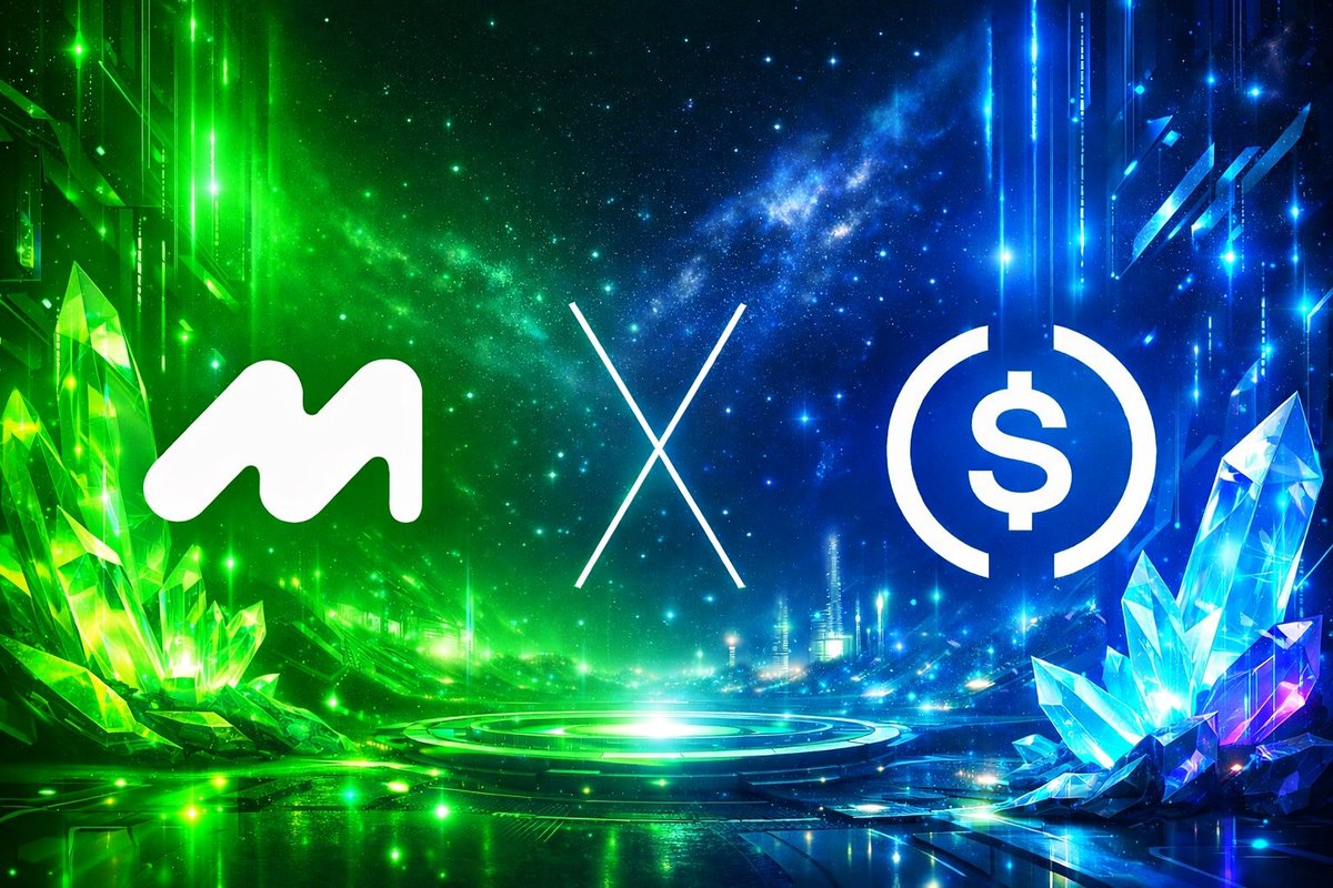 SuperKriipto's tweet image. #MorphUSDC