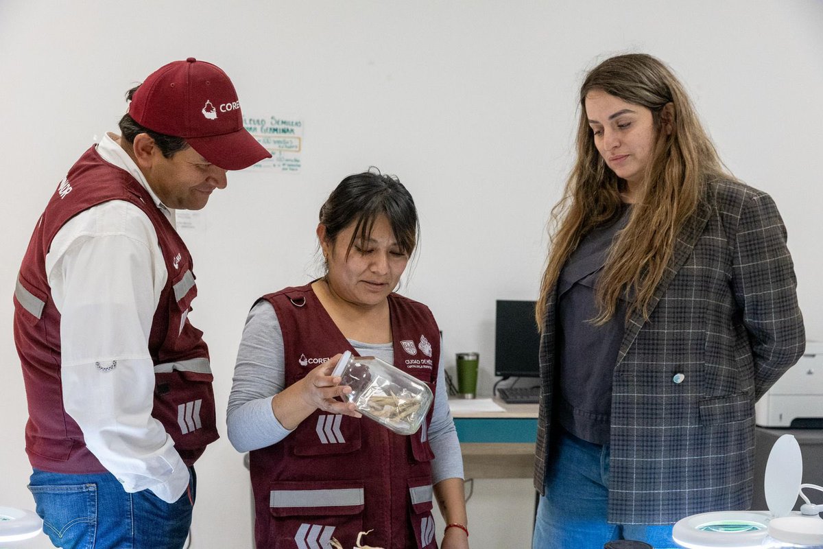 Adán Peña tweet media