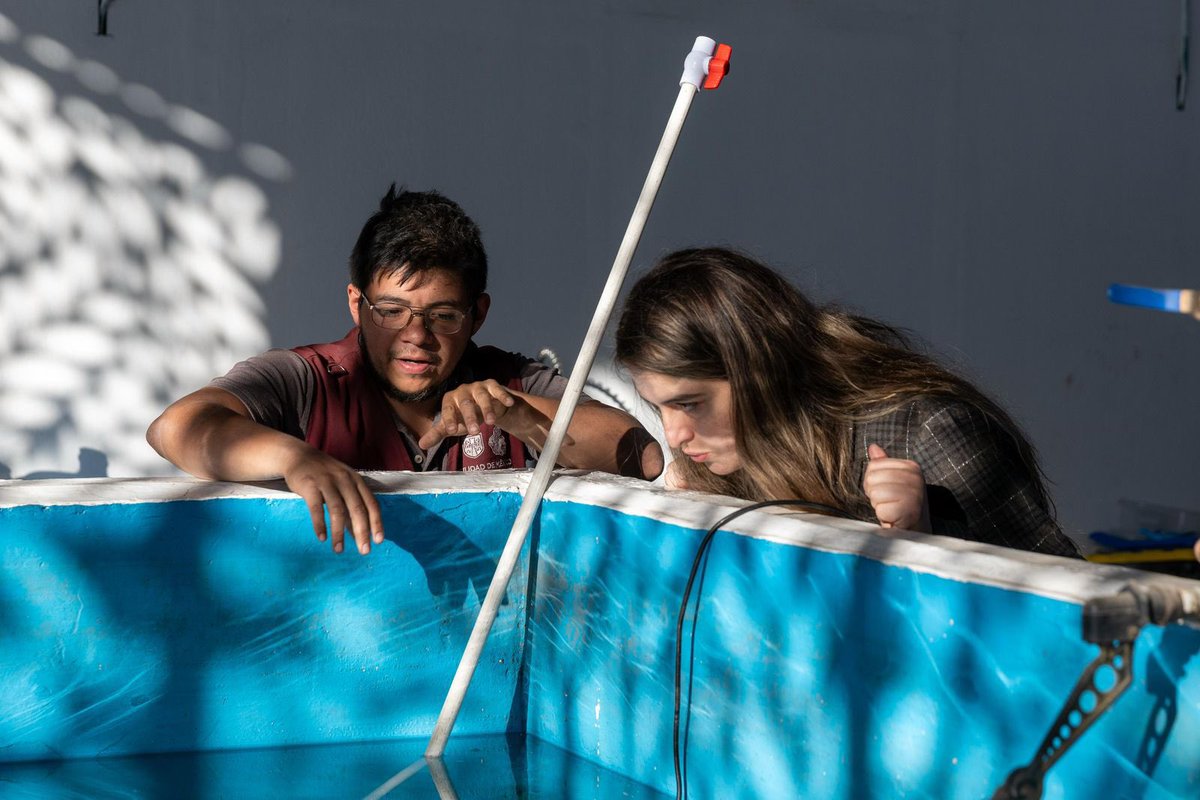 Adán Peña tweet media