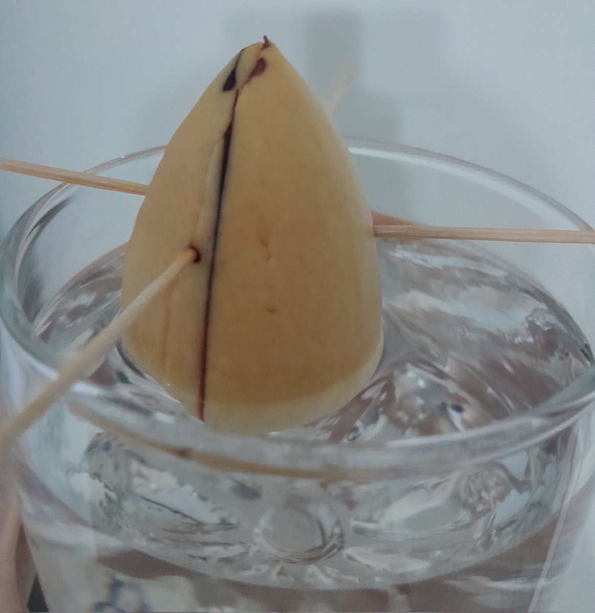 Michelangelo ve Diğer 60 Kişi tweet media