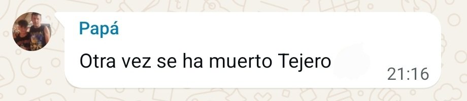 Josefine tweet media