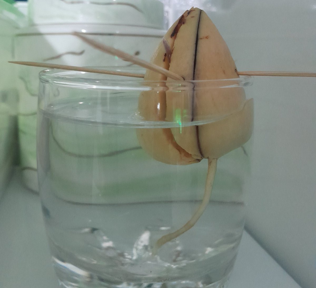 Michelangelo ve Diğer 60 Kişi tweet media