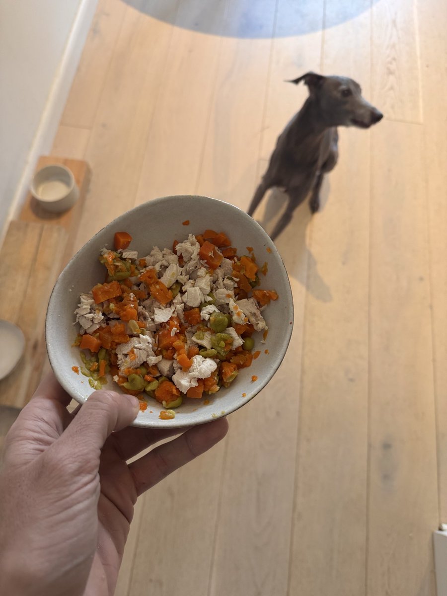 Michal Malewicz tweet media