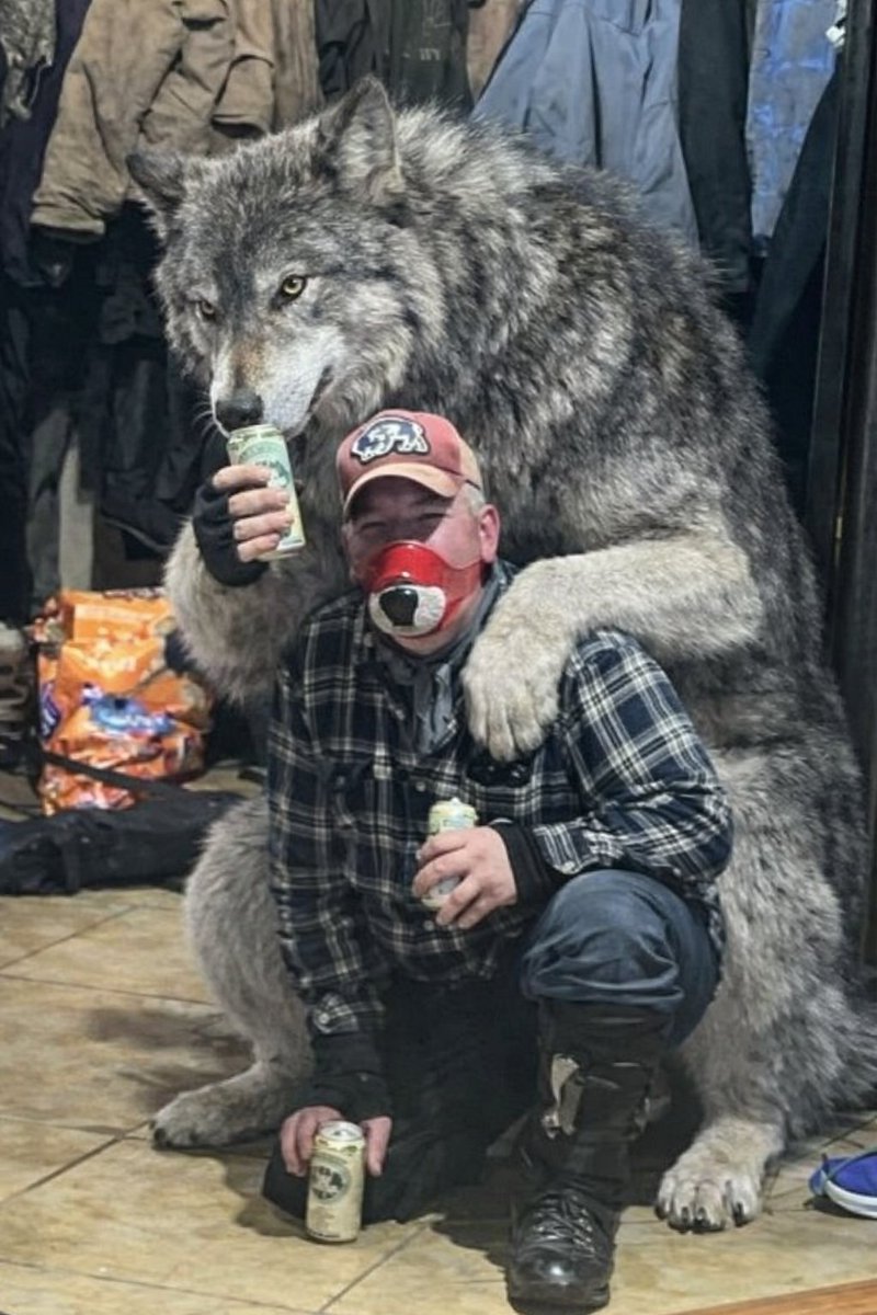 AlfaEsparta's tweet photo. @EsTTAnimalesEnX Esto igualará las cosas 🐺 https://t.co/N8pHiCcpRX