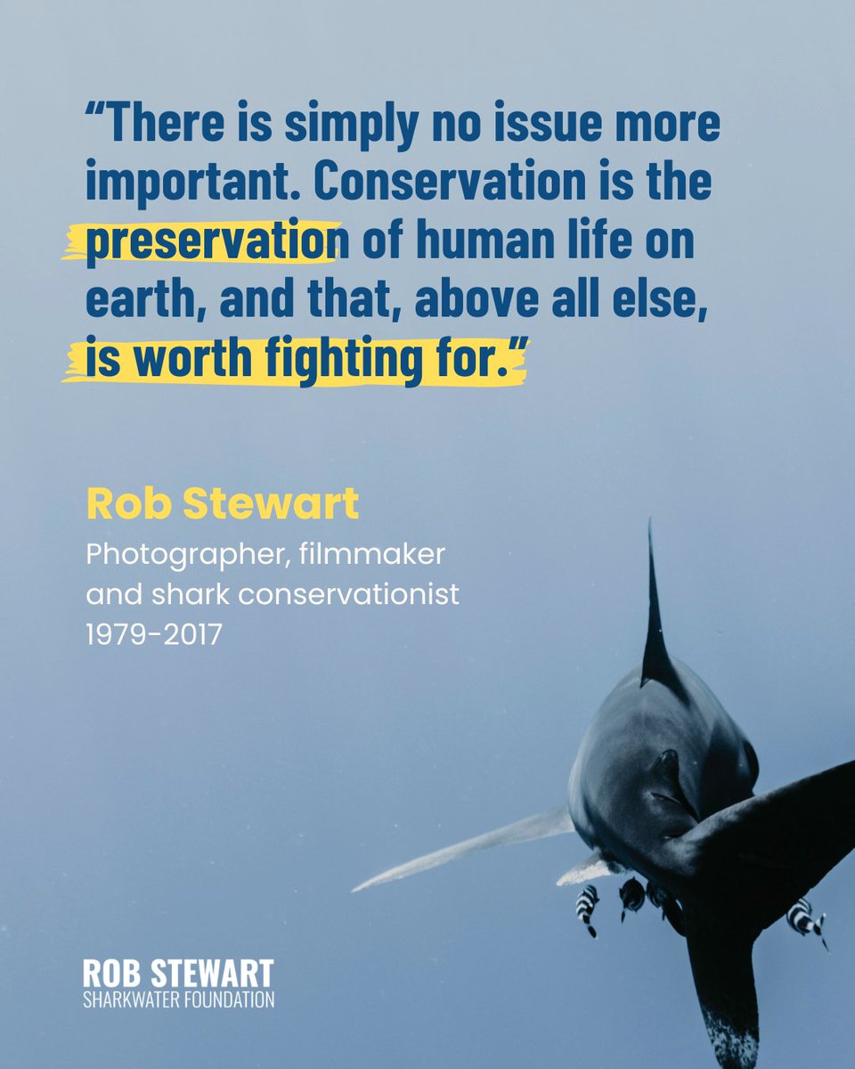 Sharkwater Extinction tweet media