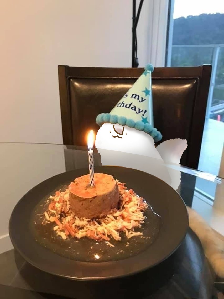 유리(Yuri)🖋 tweet media