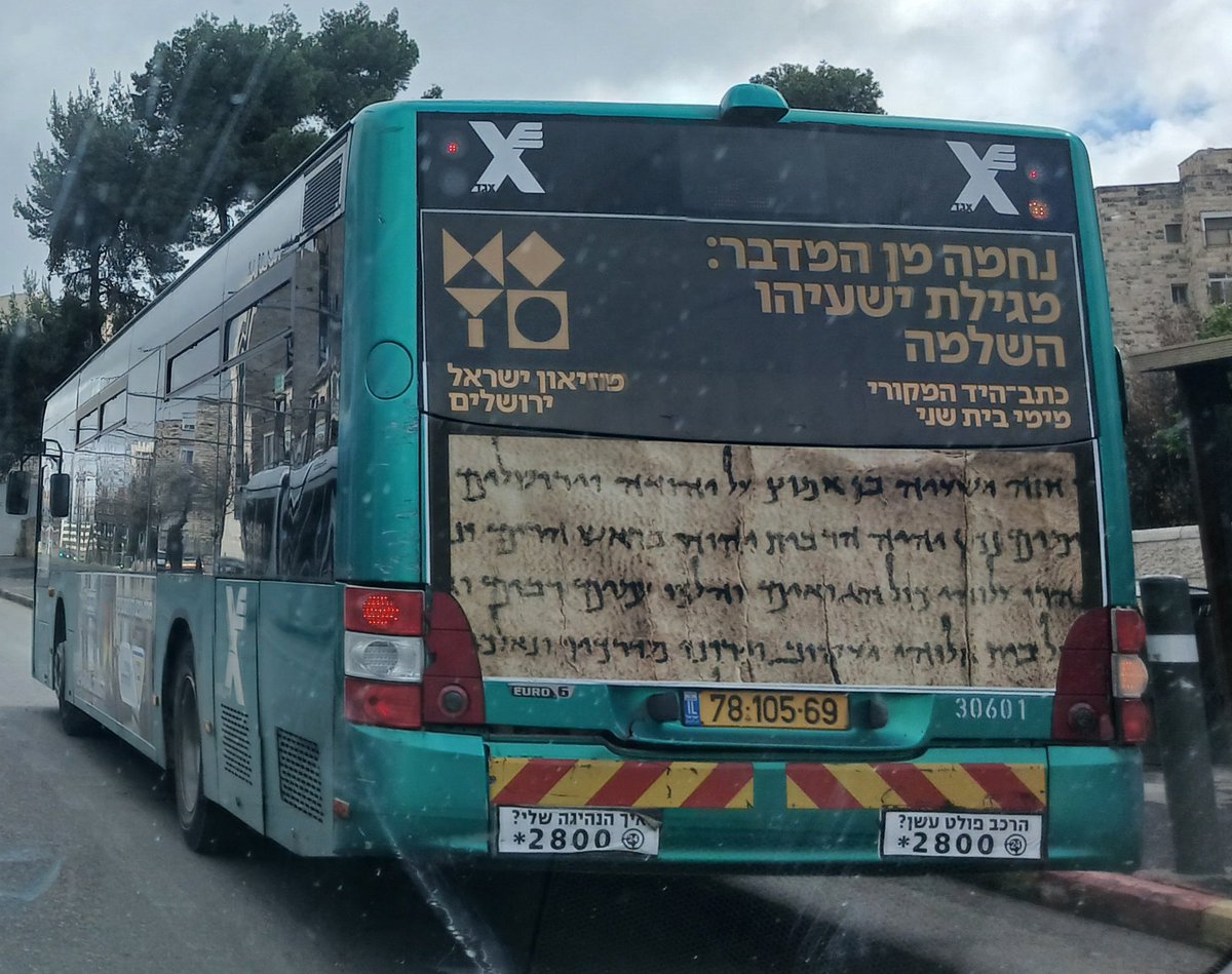 בר נתיב, יהודיה מקצועית tweet media