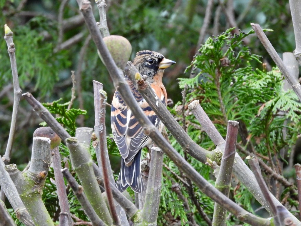 Alan Boddington tweet media