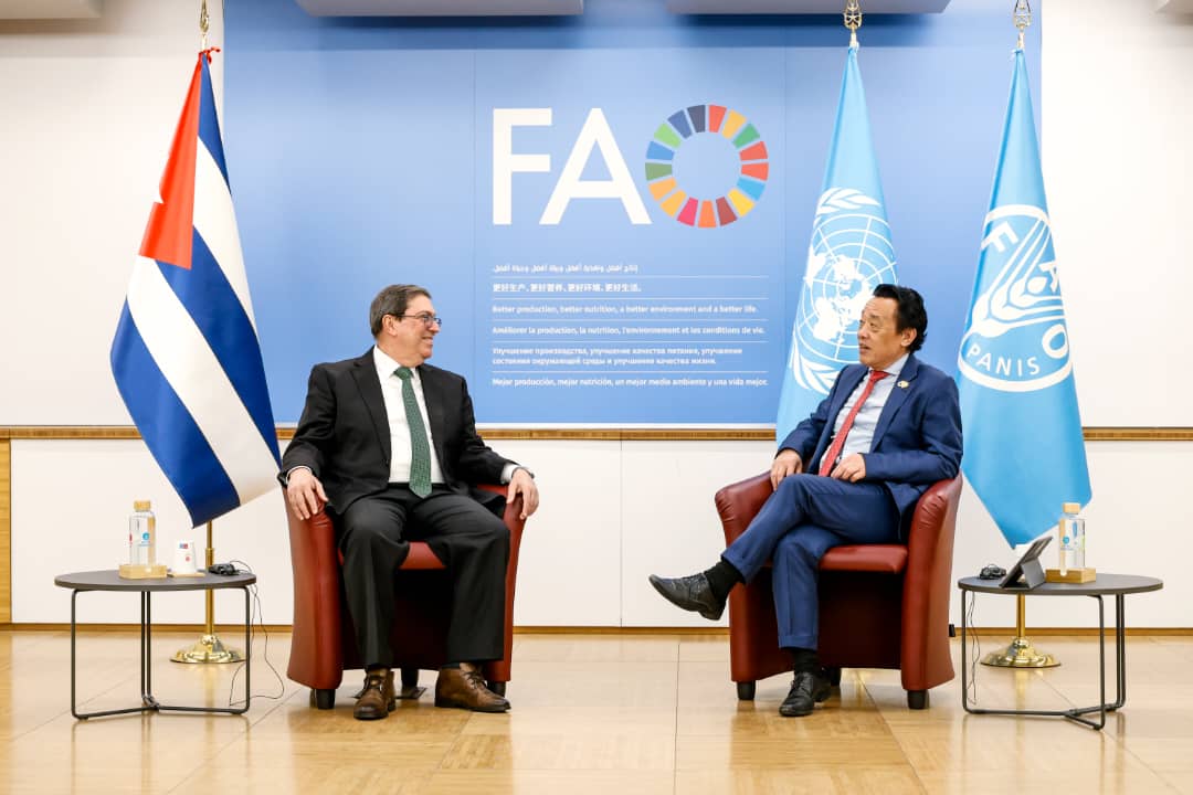 Bruno Rodríguez P tweet media