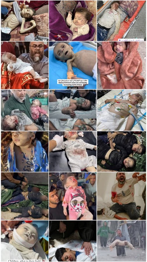 مهدی طیبی tweet media