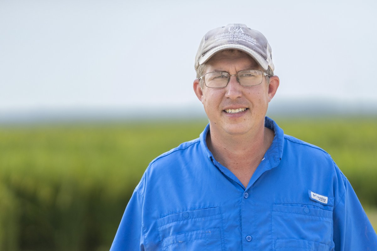 Arkansas Agricultural Experiment Station tweet media