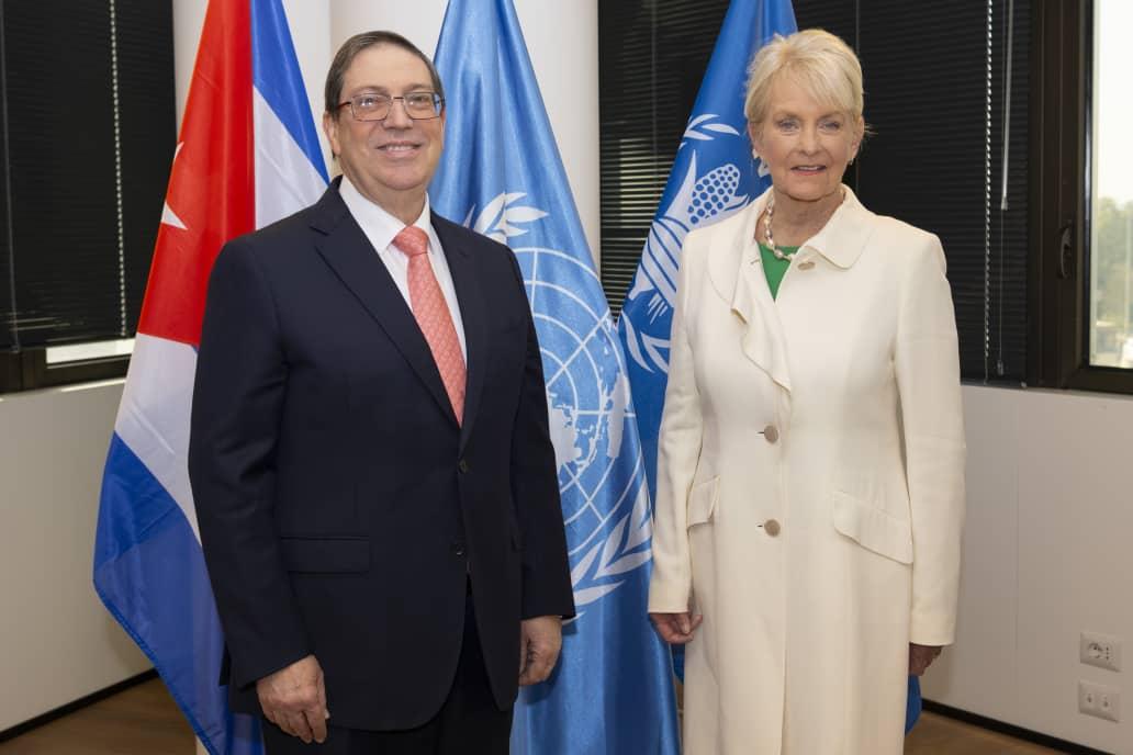 Bruno Rodríguez P tweet media