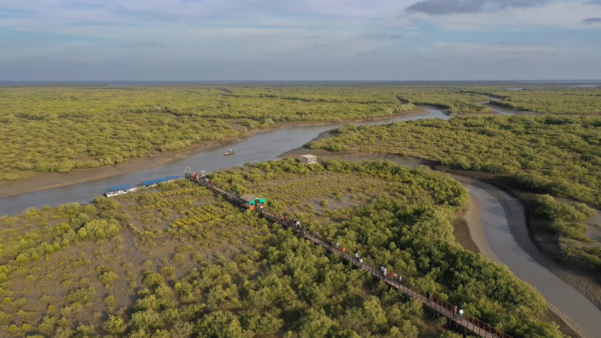 Zainab Ali tweet media