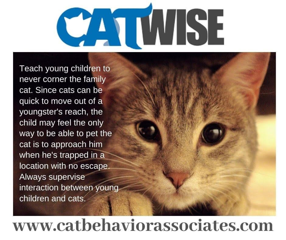 Pam Johnson-Bennett tweet media