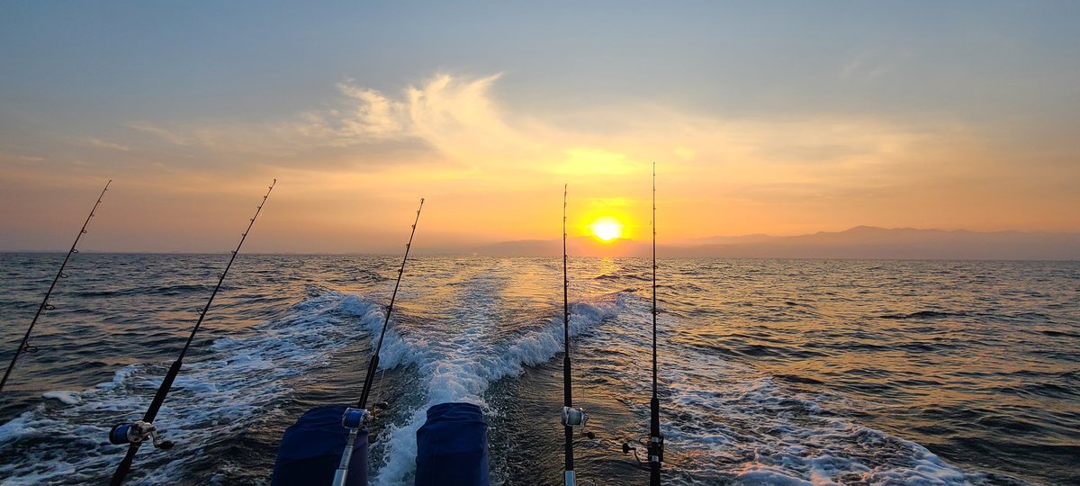 Salt Father 🧂 tweet media