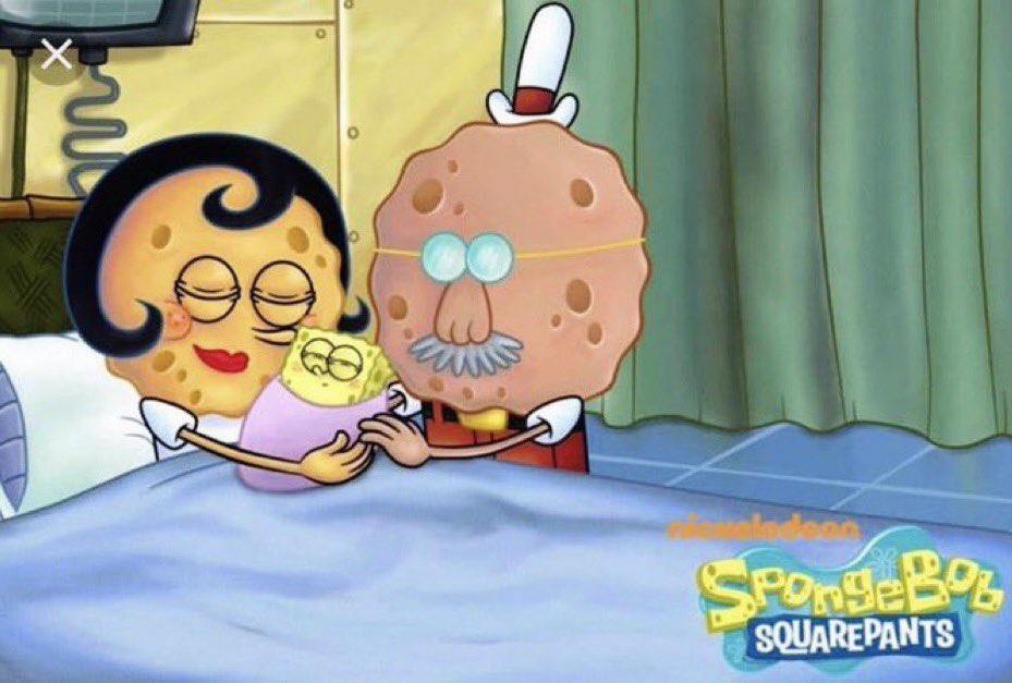 How tf did 2 cookies make a sponge