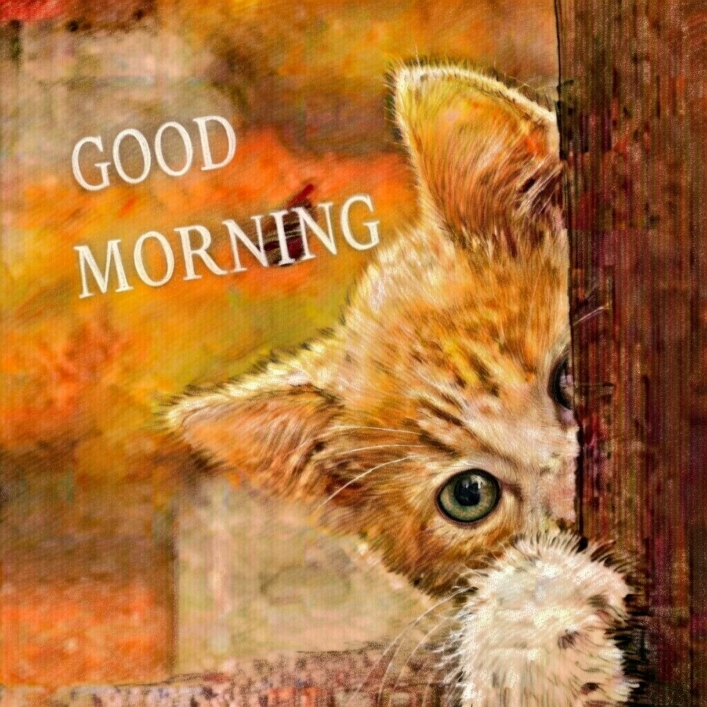 leni_iscar's tweet photo. Good Morning there! https://t.co/eDU5SGvdGN