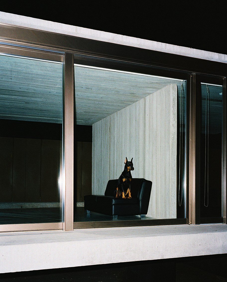 Ortgeist's tweet image. 