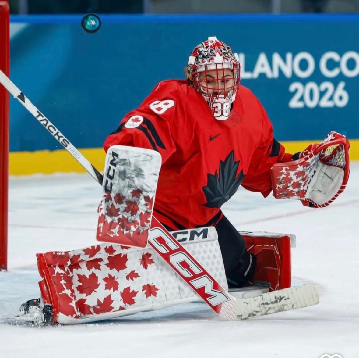 Top Prospects Goaltending tweet media