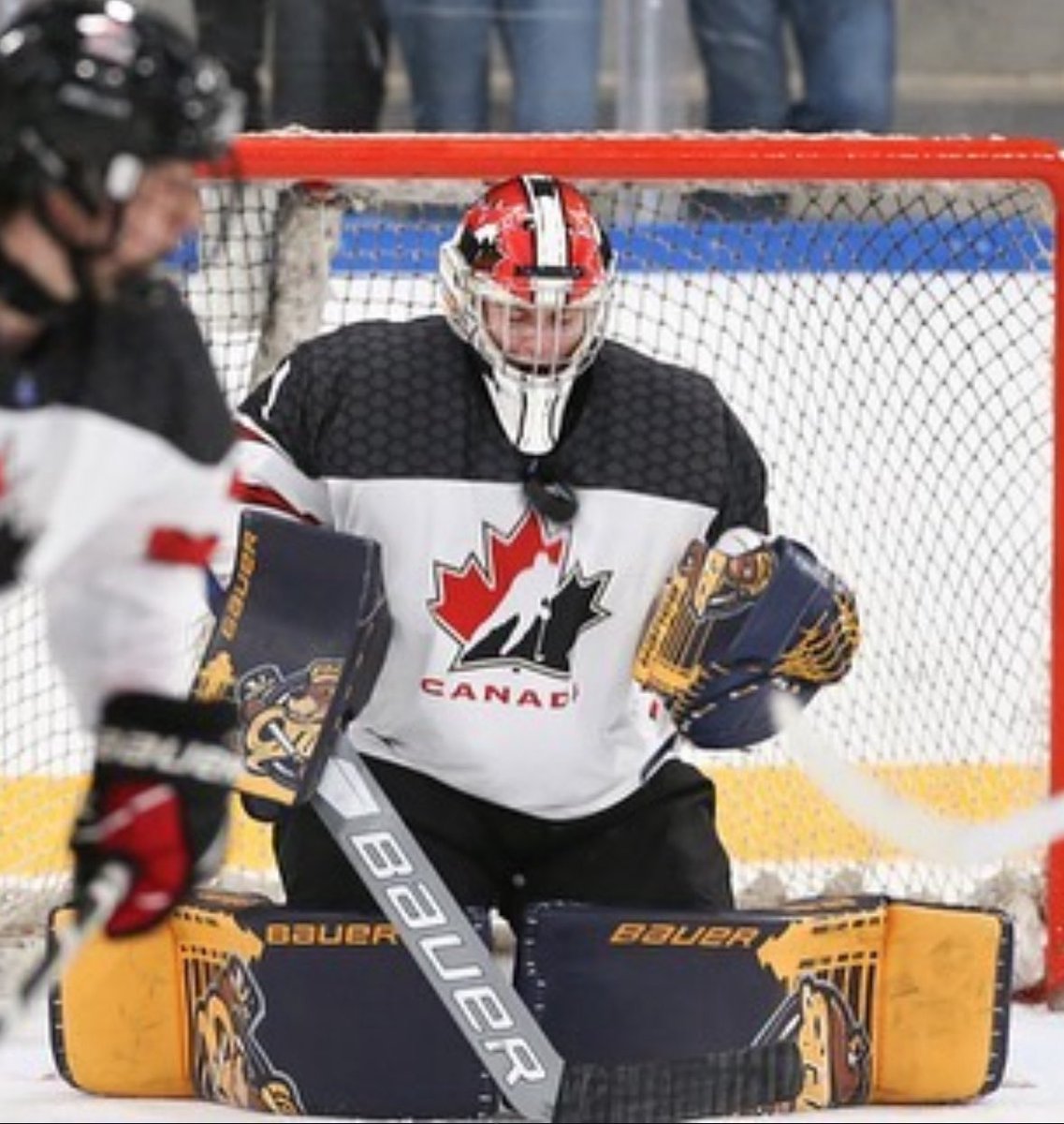 Top Prospects Goaltending tweet media