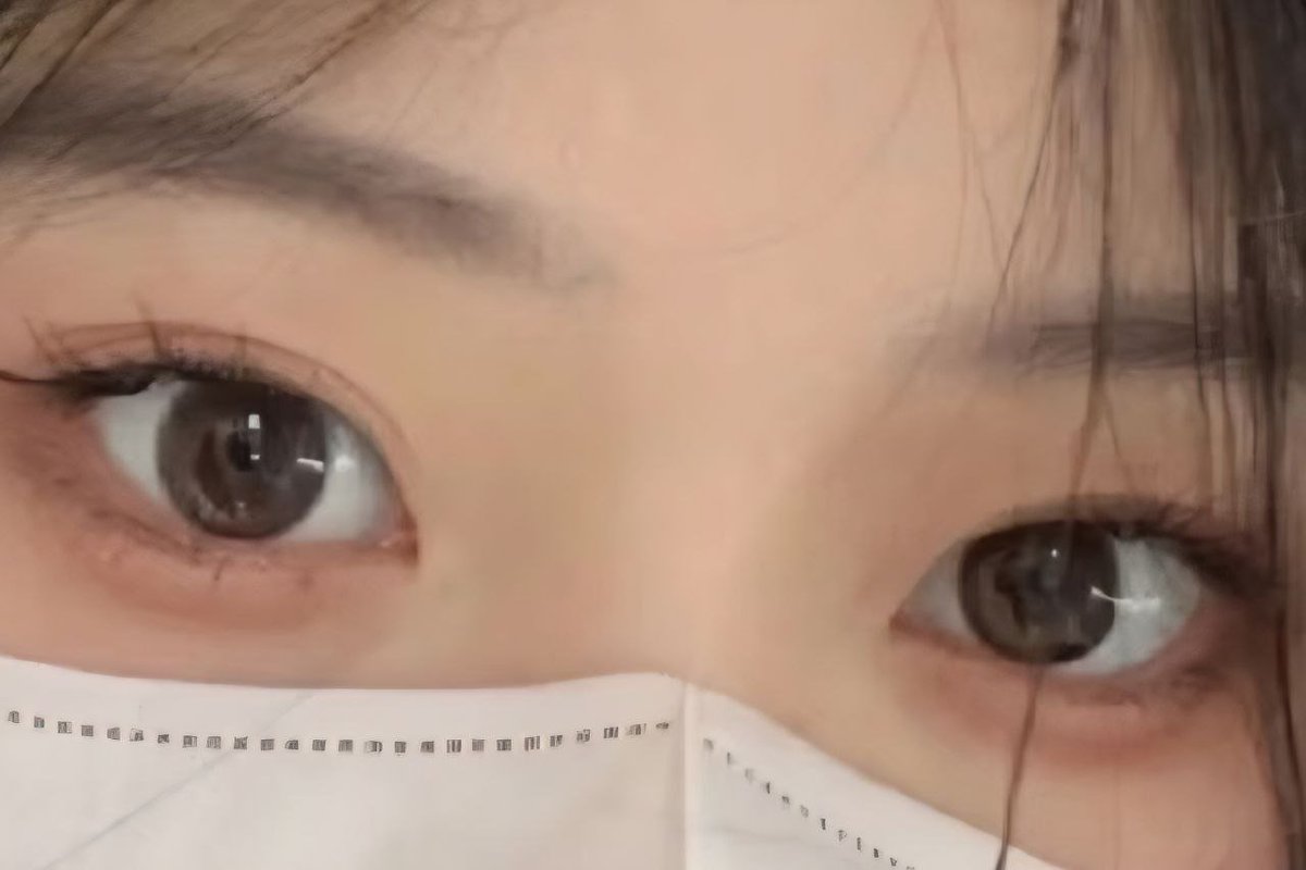 白溪的日记（武汉） tweet media