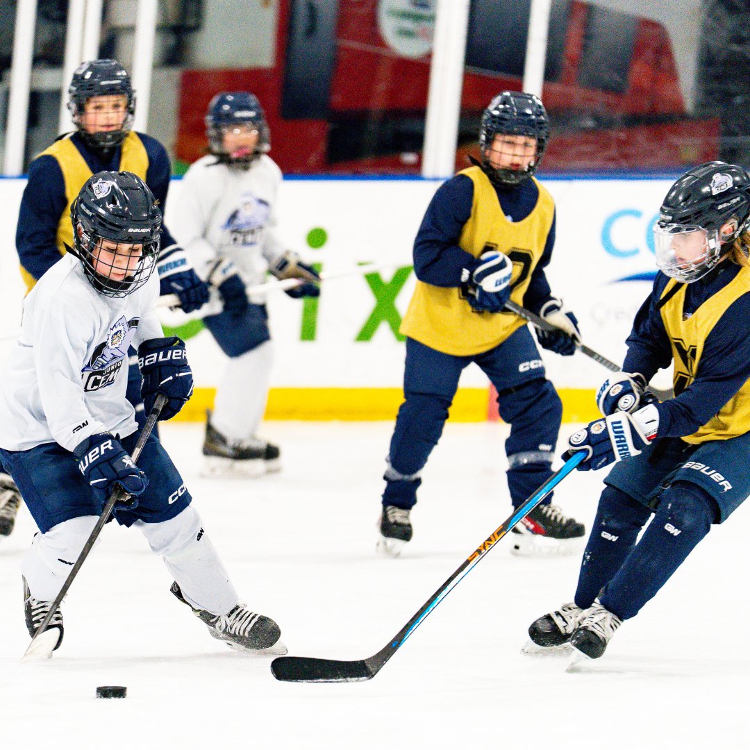 Community First Igloo tweet media