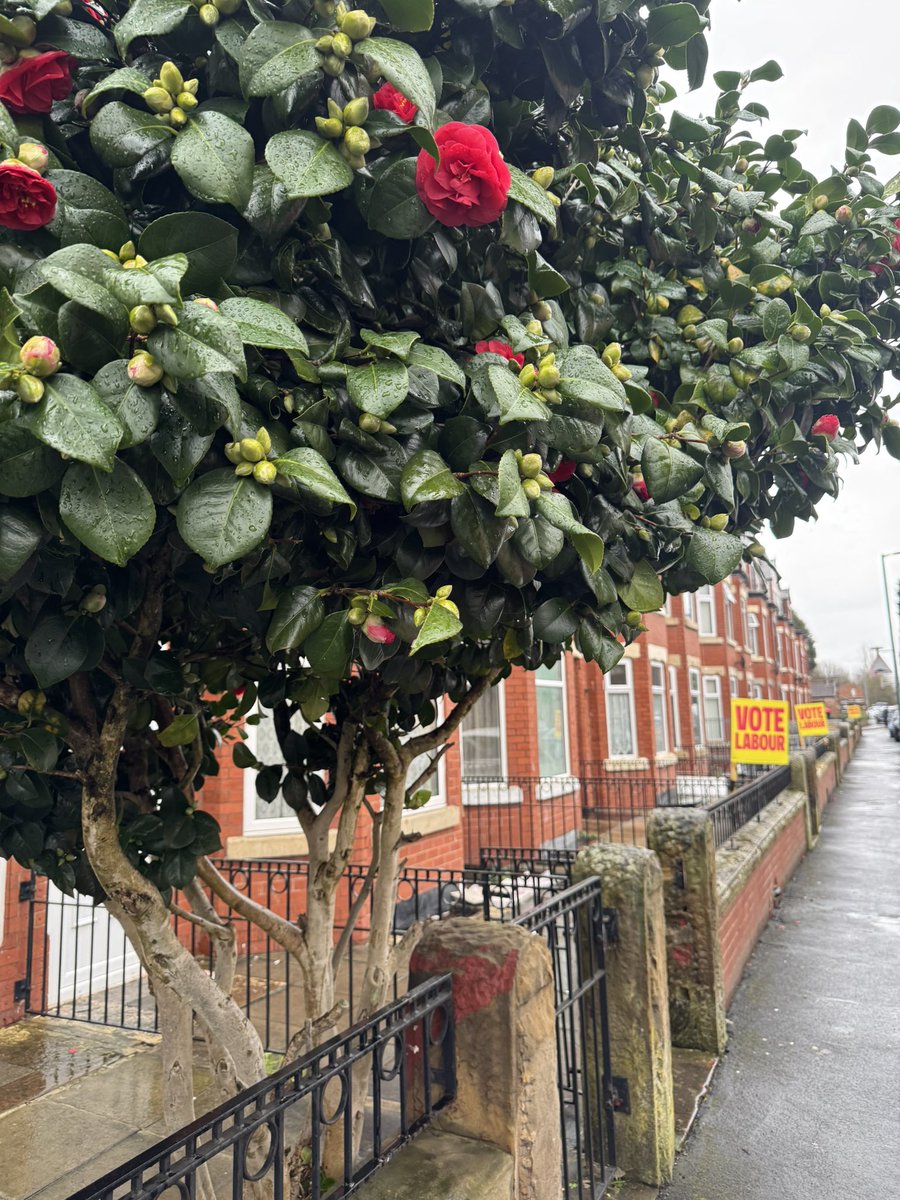 Wes Streeting tweet media