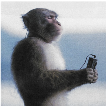 Spotify Spain tweet media