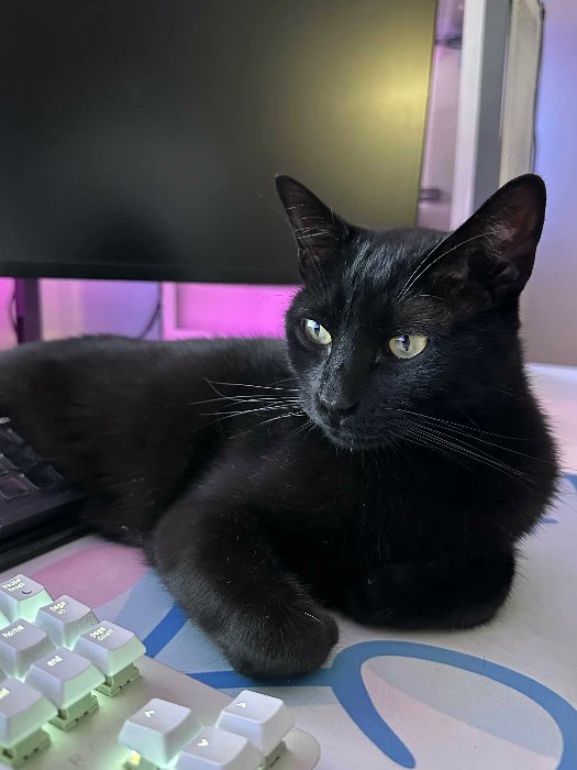 ti8ick tweet media