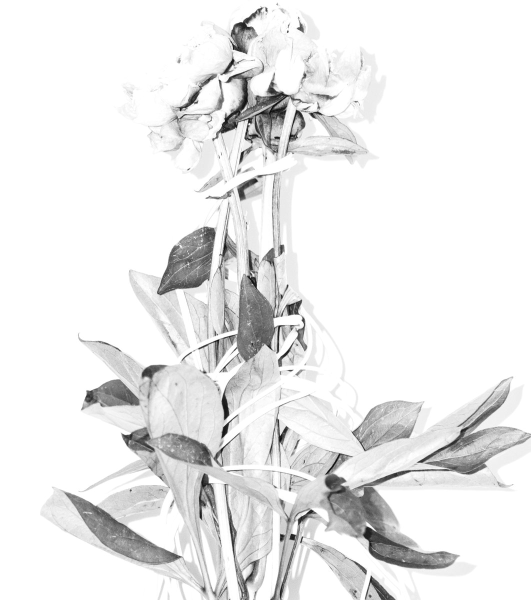 EDGE Neuroscience-Art tweet media