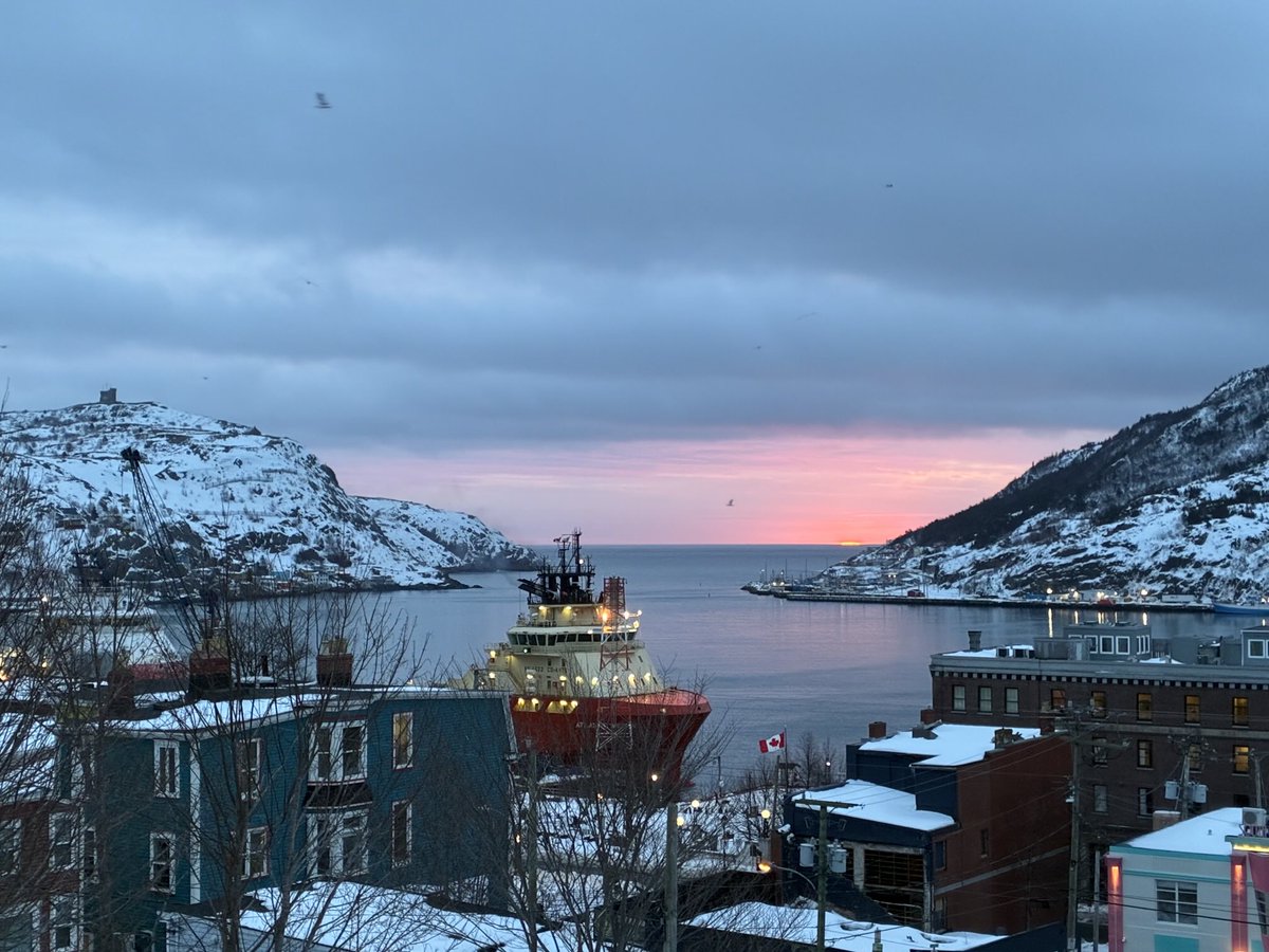 Francesca Swann tweet media