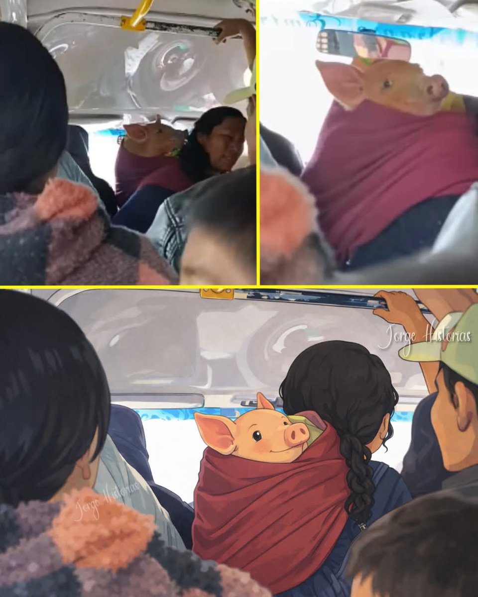 Uma mulher entrou num ônibus carregando um leitão enrolado num cobertor nas costas. Para evitar ser expulsa, apresentou-o a todos como se fosse seu bebê. Os passageiros não sabiam se riam ou permaneciam em silêncio. Alguns pegaram seus celulares e começaram a filmar. O leitão