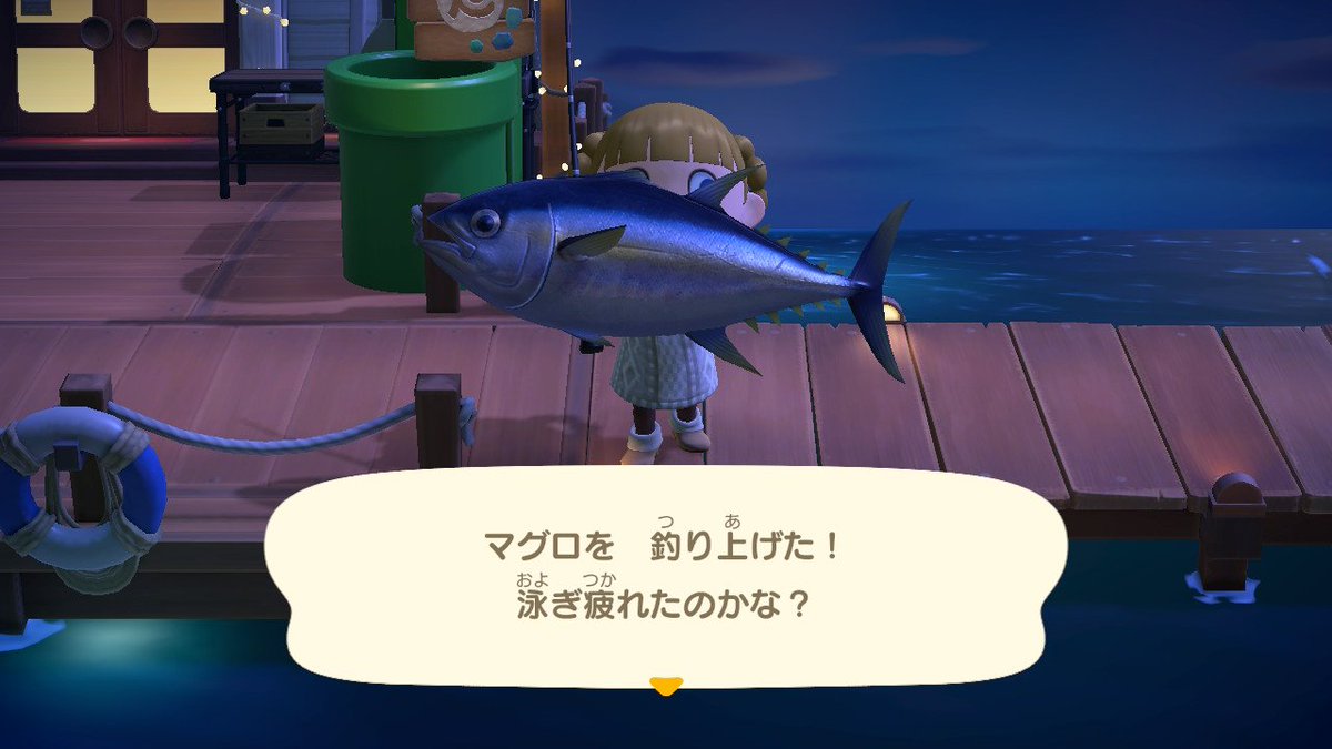 meykmi's tweet photo. カジキじゃなくてマグロが釣りたいと思ってたらやっと釣れた！！！桟橋の魚めっちゃ苦労する！！！ https://t.co/sqx0aYO9N5