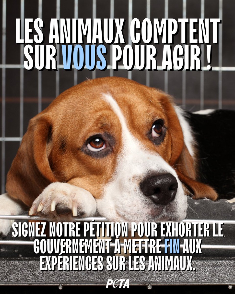 PETA France tweet media