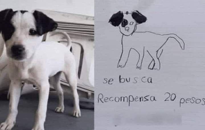 um menino perdeu o seu cachorrinho e fez esse adorável retrato para encontrá-lo