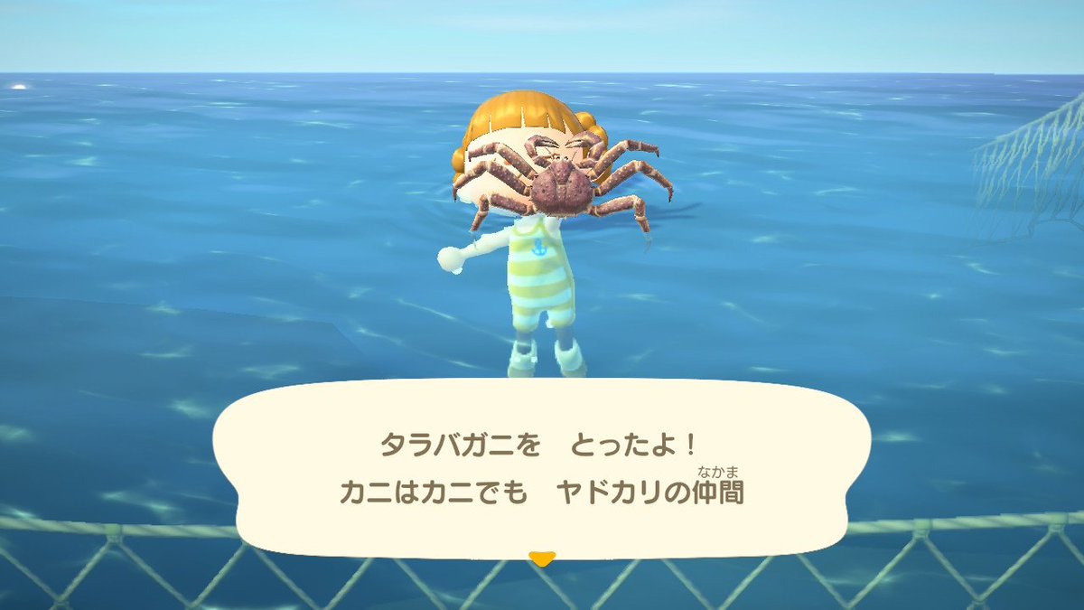 meykmi's tweet photo. 海の幸でも苦労してる https://t.co/zSb9fgekl1